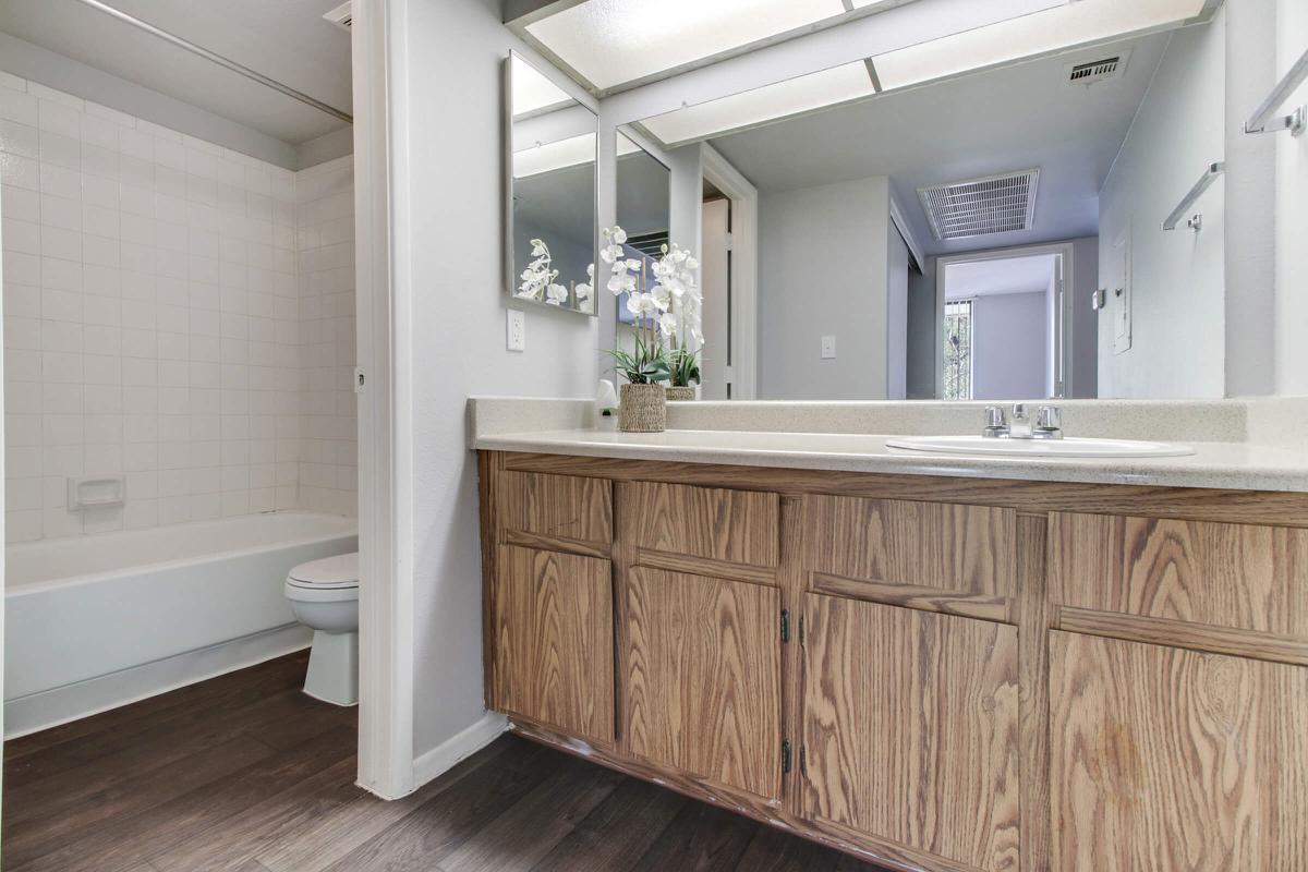 a kitchen with a sink and a mirror
