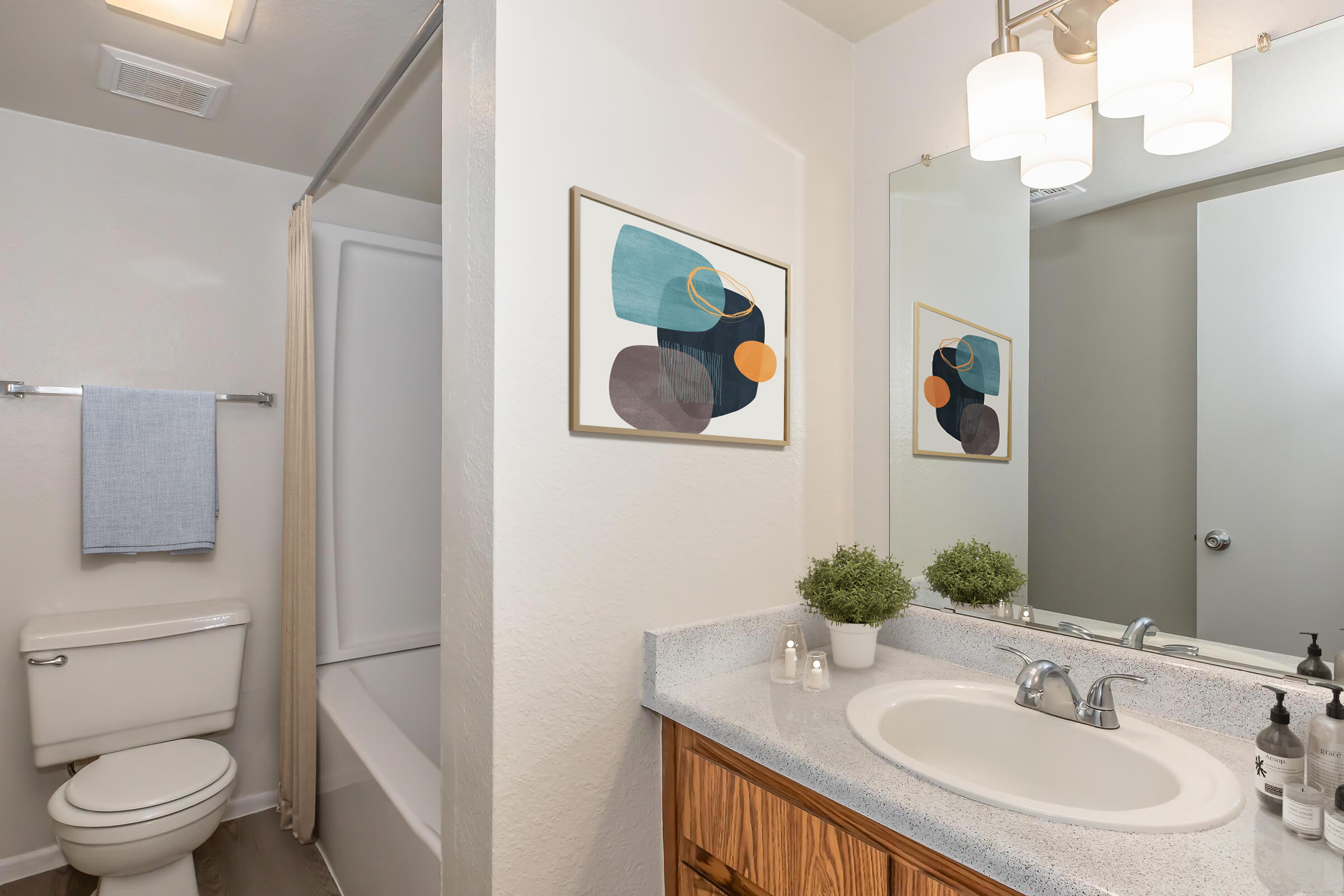 A clean bathroom featuring a light-colored wall with a mirror, a vanity with wooden cabinetry, a sink, and toiletries. There is a shower/bathtub combo and a toilet. A blue towel hangs on a rack, and a framed abstract artwork adds a decorative touch. Green plants are displayed on the counter for a pop of color.