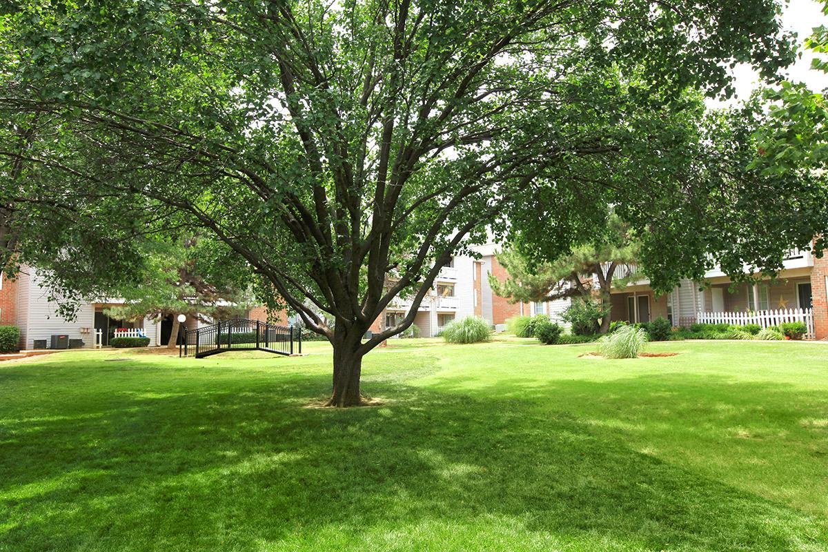 a group of lawn chairs sitting on top of a lush green field