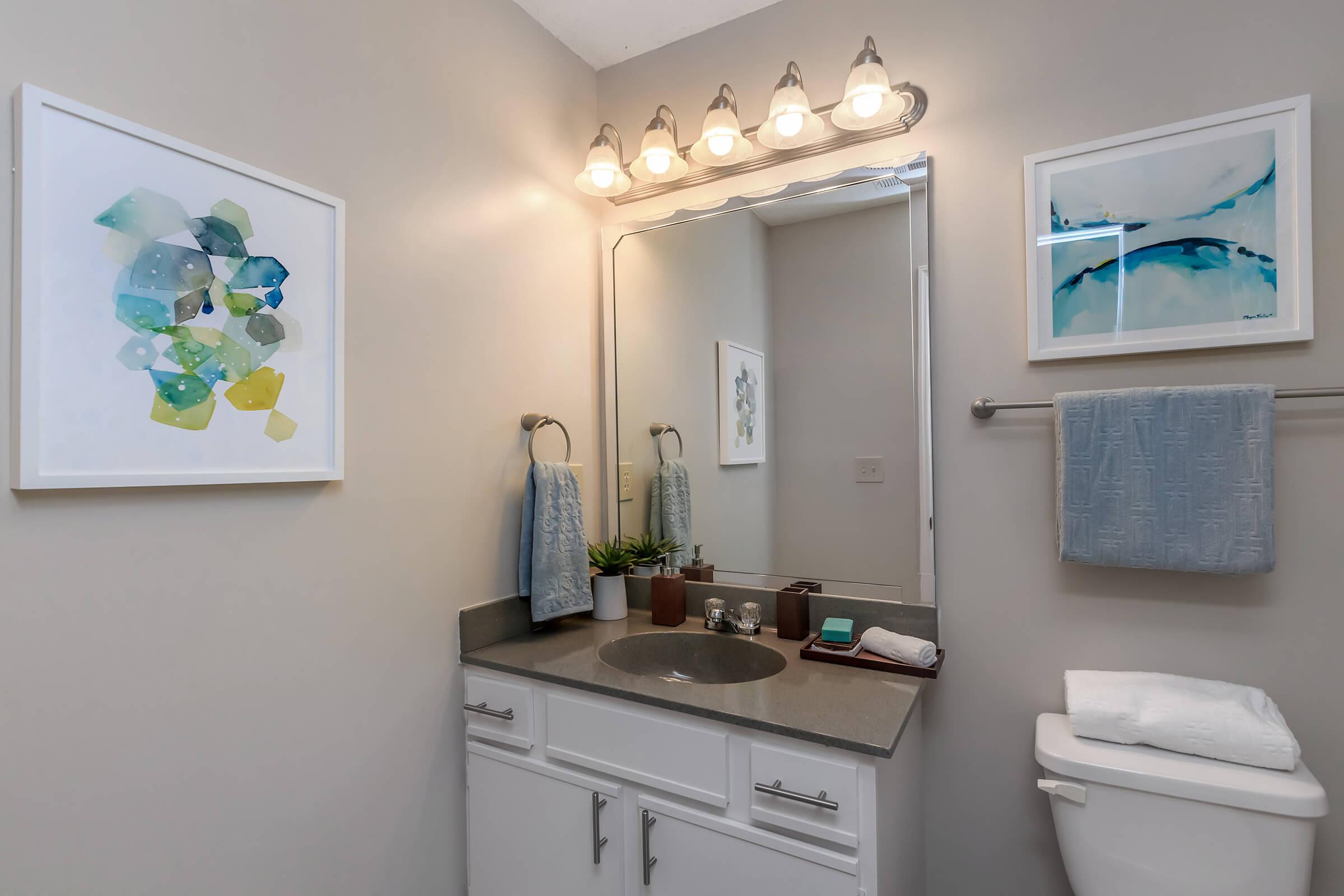 Bathroom Vanity + Ashley Oaks Apartments + San Antonio + Texas