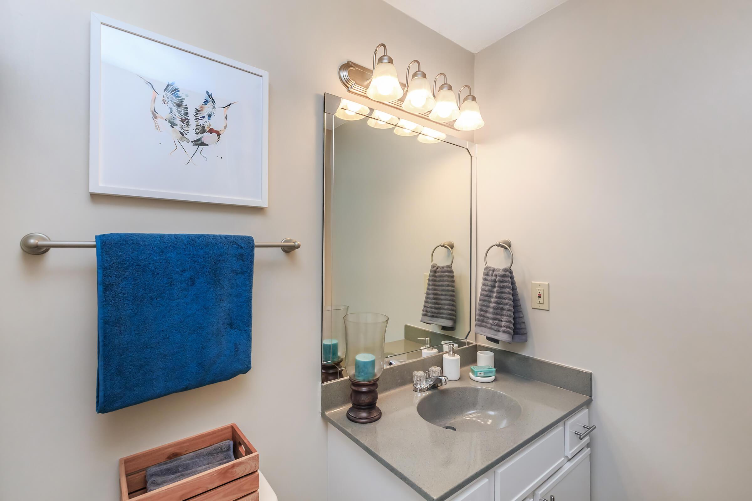 Updated Bathroom + Ashley Oaks Apartments + San Antonio + Texas