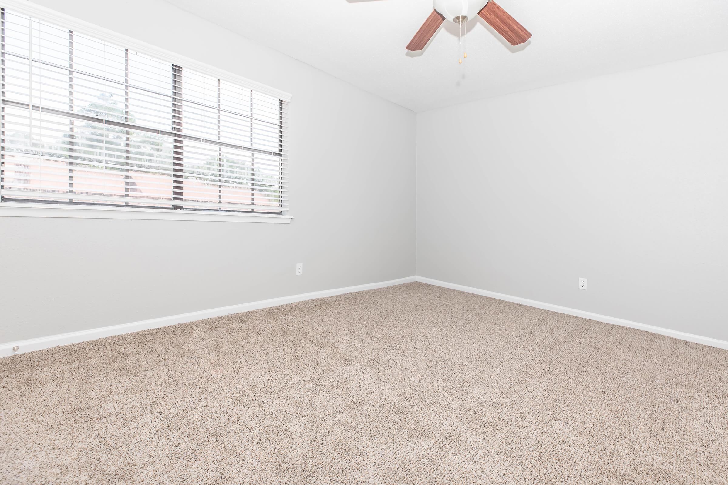 Empty room with light gray walls, a tan carpet, and a ceiling fan. There are large windows with white blinds allowing natural light to enter. The space appears clean and well-lit, suitable for various uses.