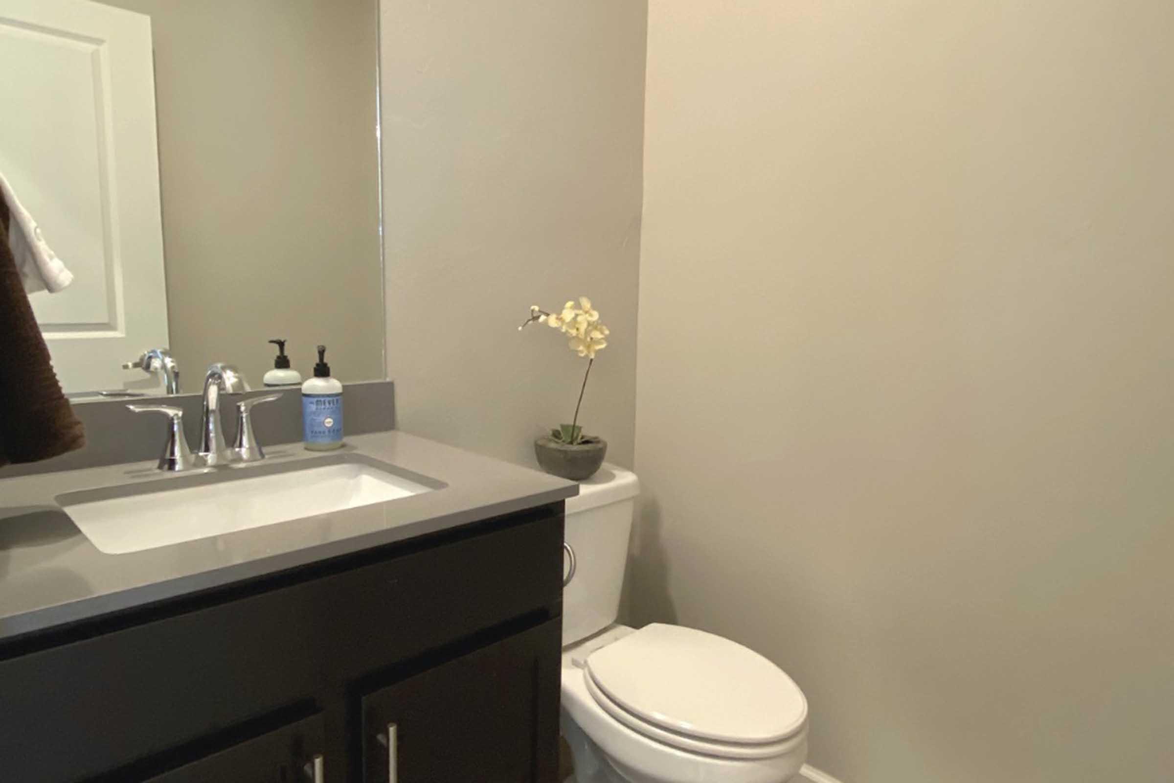 A modern bathroom featuring a simple gray countertop with a sink, a mirror above it, and a decorative plant. To the right, a white toilet is positioned against a beige wall. A bottle of hand soap and other toiletries are neatly arranged on the countertop.