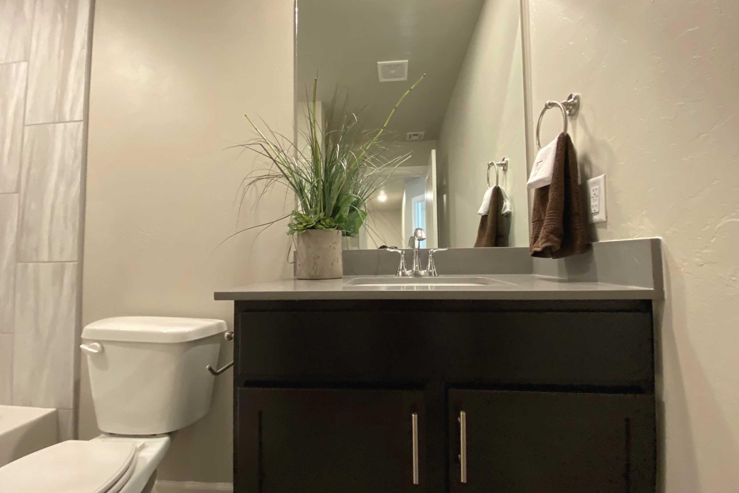 A modern bathroom featuring a dark wood vanity with a sink, a white toilet, and a large mirror. A small potted plant is placed on the vanity, and there are brown towels hanging on towel racks. The walls are painted a light neutral color, adding to the clean and contemporary look of the space.