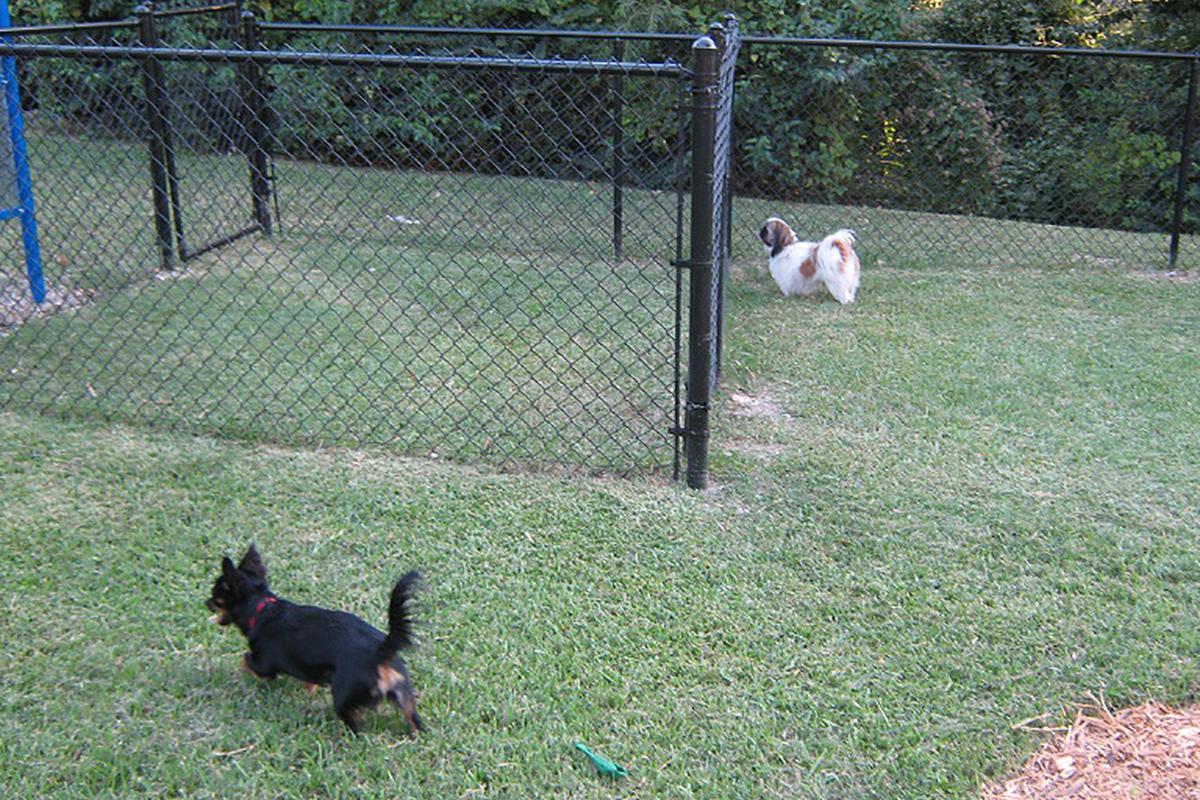 Bark Park 5.jpg