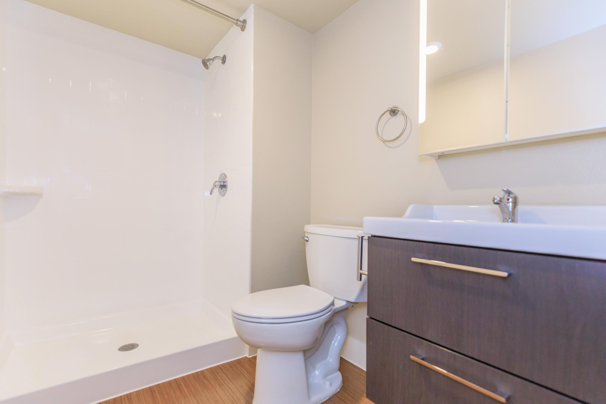 A modern bathroom featuring a walk-in shower with a sleek white wall, a toilet, and a vanity with a sink. The flooring is wood-like, and there's a large mirror above the sink with a light fixture. The walls are painted in a neutral tone, creating a clean and contemporary look.