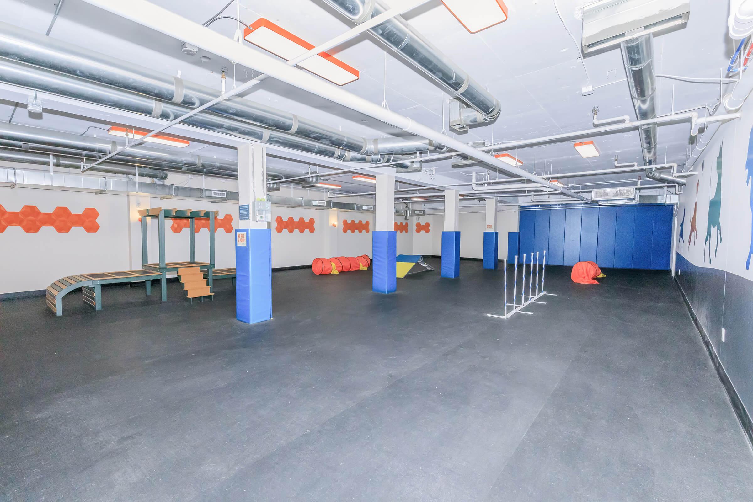 An indoor play area featuring various climbing structures, including a wooden ramp and colorful play tunnels. There are agility equipment like hurdles and soft play surfaces. The space is well-lit with overhead lighting and has bright blue and orange wall accents.