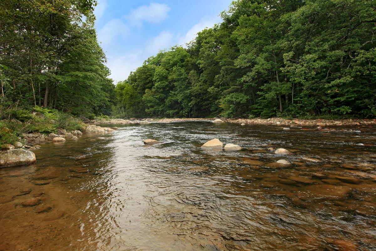 a river running through a body of water