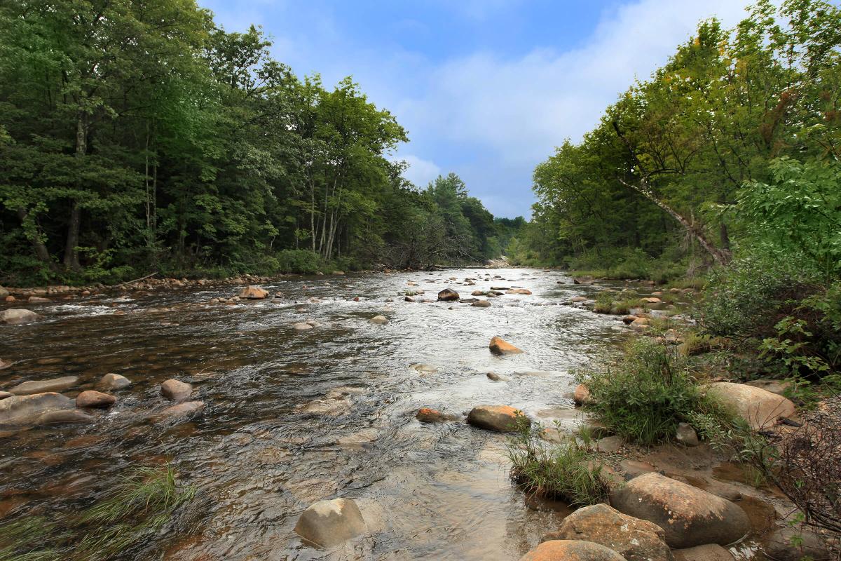 a river running through a body of water