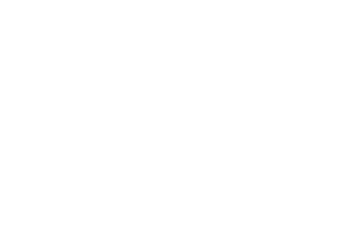 Nash Senior Village ebrochure logo