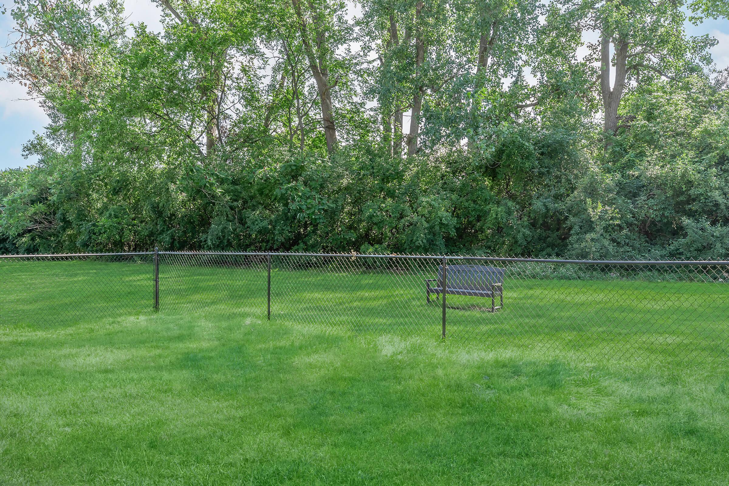 a tree in the middle of a lush green field