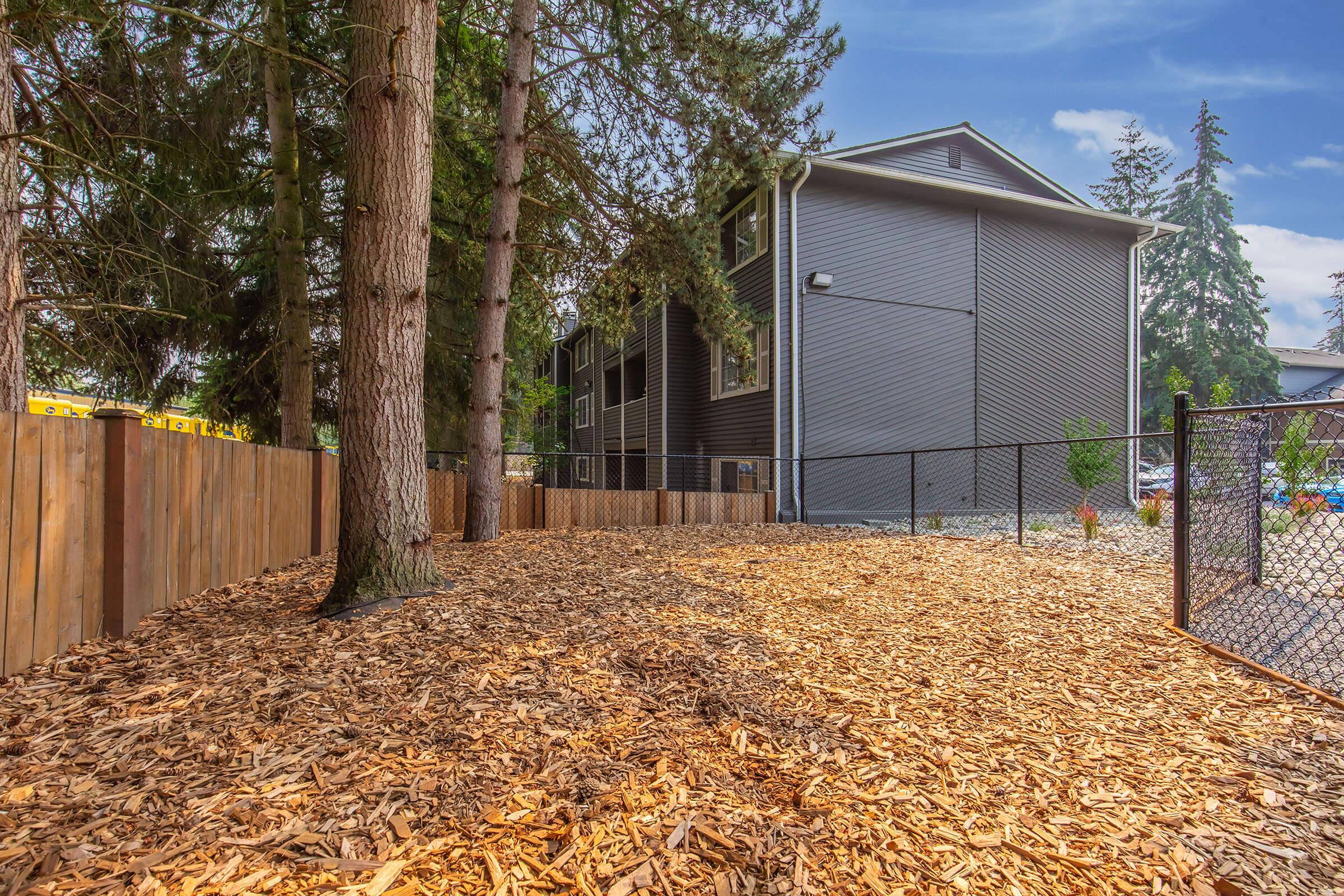 View of a backyard area surrounded by trees, featuring a bed of wood chips on the ground. In the background, a large gray house is visible along with a fenced perimeter. The scene captures a sunny day with clear skies, making it a serene outdoor space.