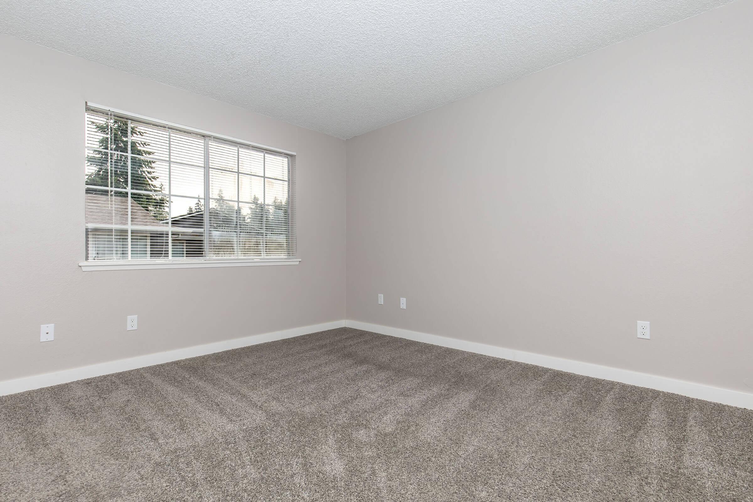 A spacious, empty room with light gray walls and a textured ceiling. The floor is covered with beige carpet. A window with white blinds allows natural light to enter, offering a view of trees outside. There are no furnishings, creating an open and airy atmosphere.