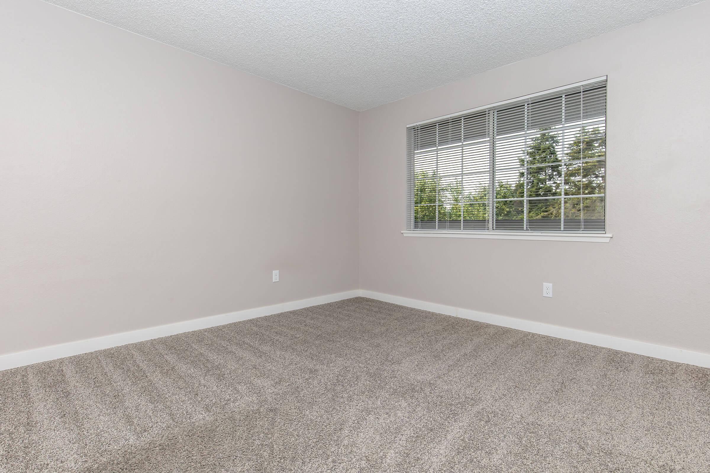 A spacious, empty room with light gray walls and plush carpeting. A window with white blinds allows natural light to enter, providing a view of greenery outside. The room has a clean, minimalist appearance with no furniture, making it ideal for various uses or decoration.