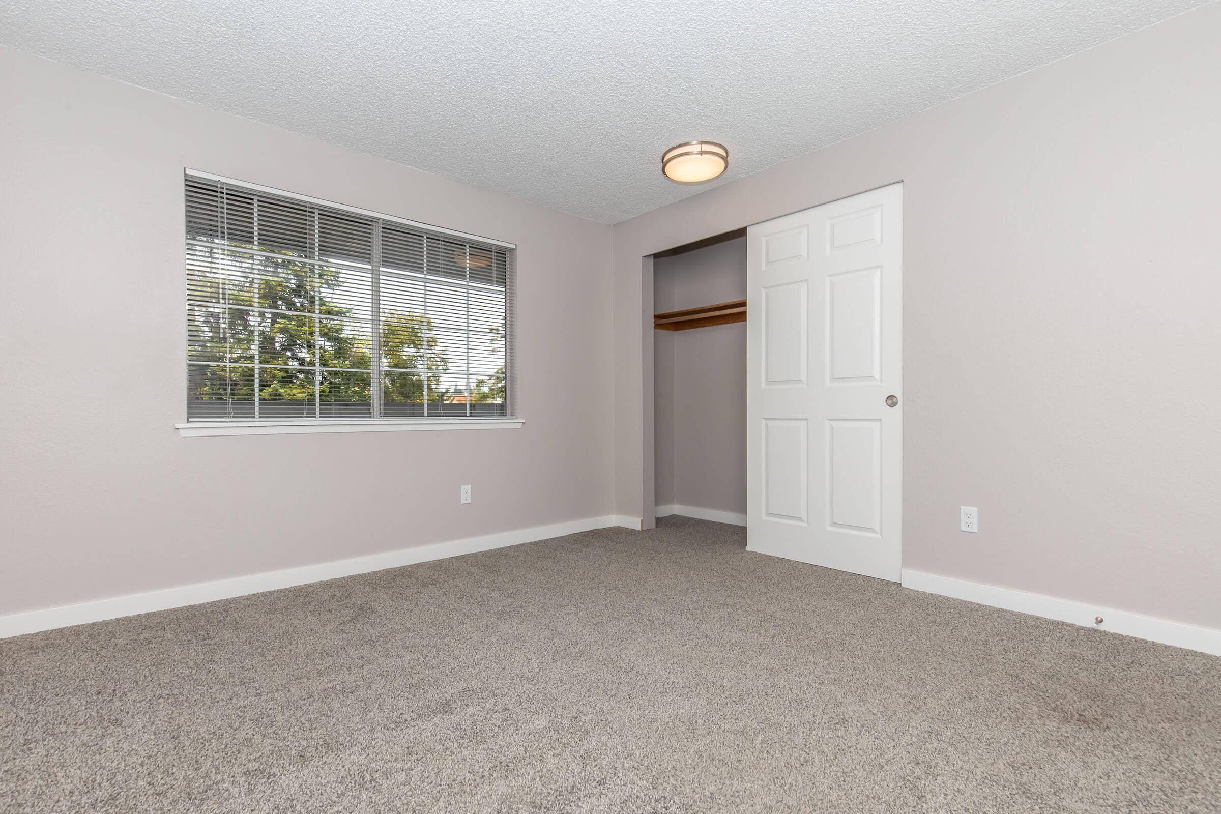 A light-colored bedroom with beige carpet, featuring a large window with blinds, and a closet with a white door. The walls are a soft pastel shade, creating a calm and inviting atmosphere. Natural light streams in from the window, illuminating the space.
