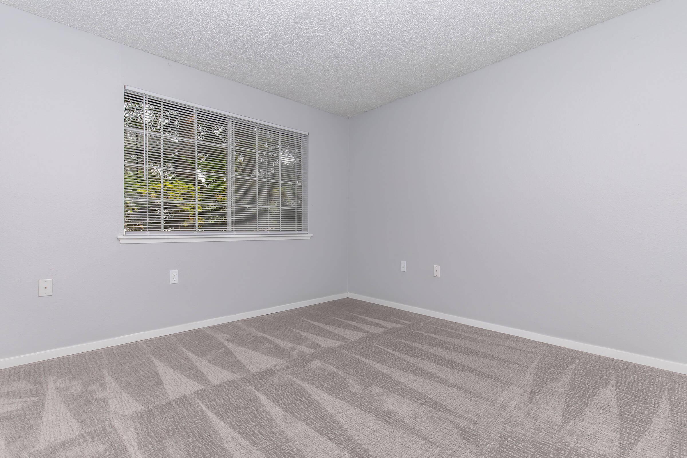 Empty room with light gray walls and a large window featuring blinds. The floor is covered with beige carpeting, showing soft shadows. There are no furniture or decorations present, creating a minimalistic and spacious feel.