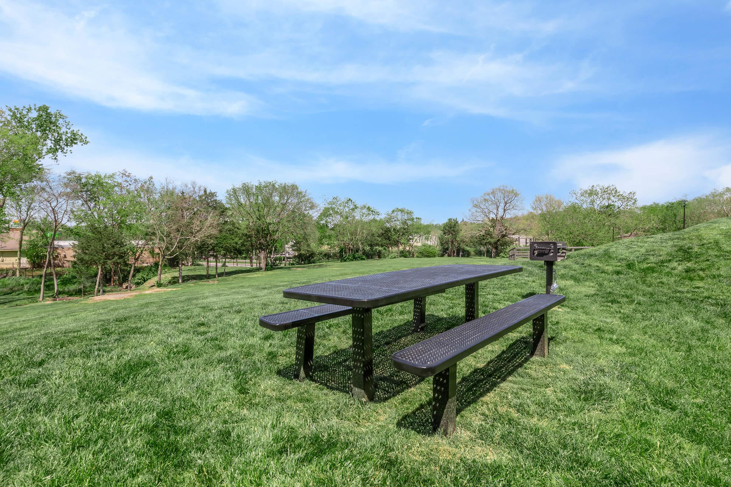 A black picnic table with benches is situated on a grassy area surrounded by trees and greenery under a blue sky with wispy clouds. A grill is positioned nearby, creating a welcoming spot for outdoor gatherings and meals.