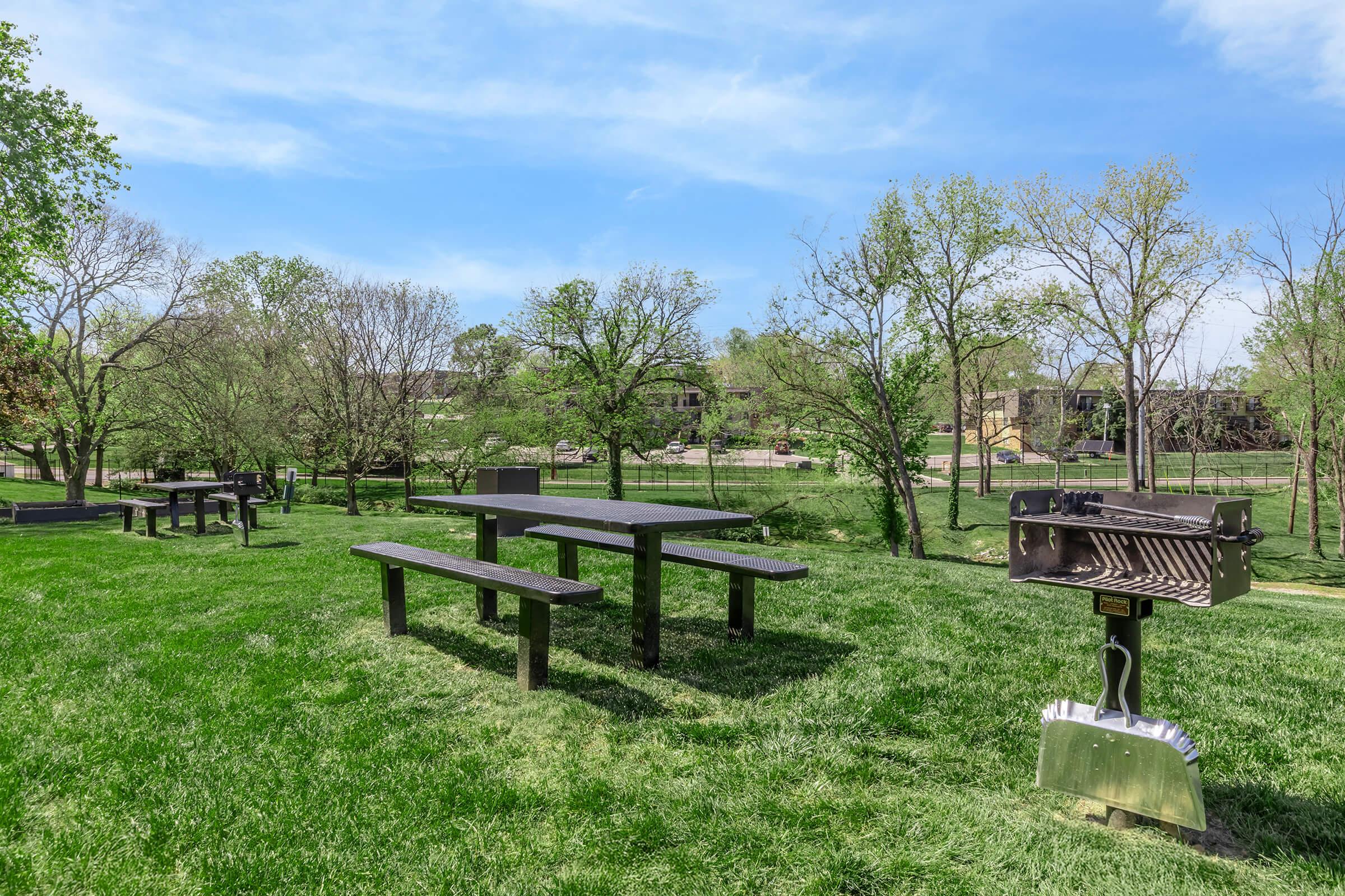 Lush green park with picnic tables and a charcoal grill, surrounded by trees. The sun shines under a clear blue sky, and a serene landscape with a distant view of buildings and nature enhances the outdoor ambiance. Ideal setting for gatherings and barbecues.