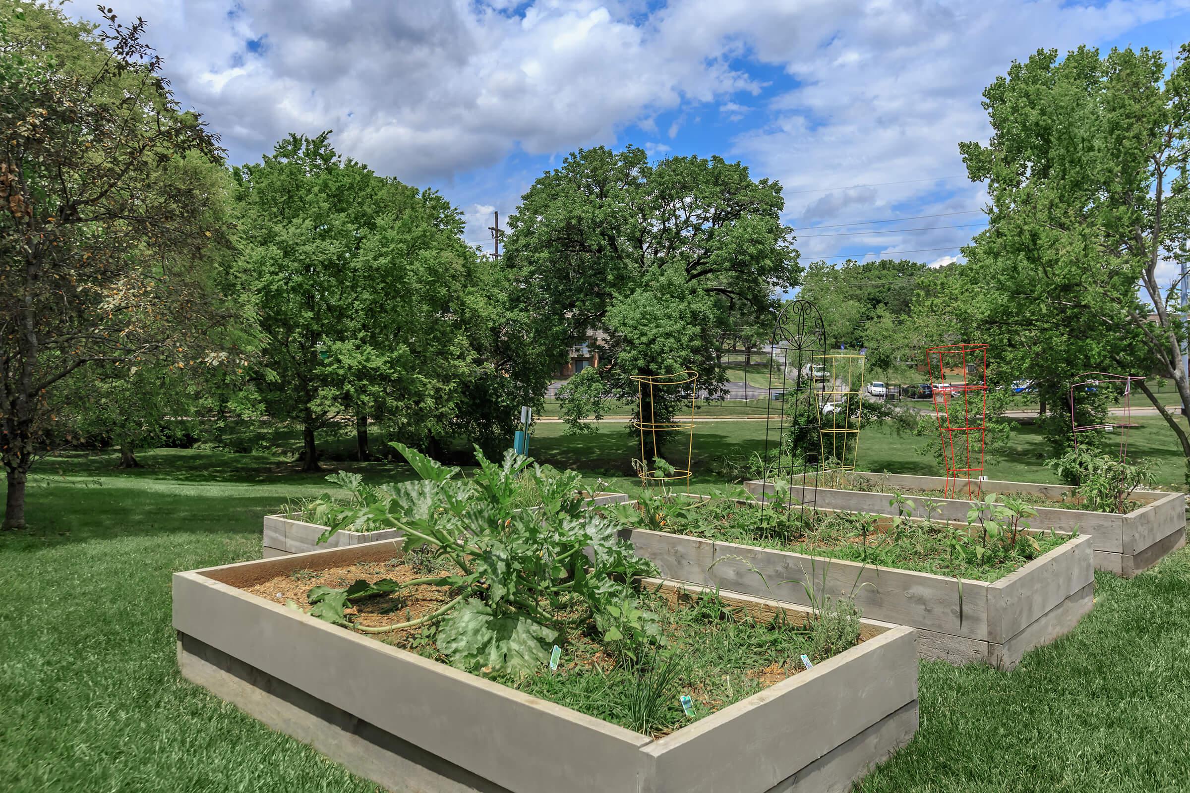 spend time at the community vegetable garden