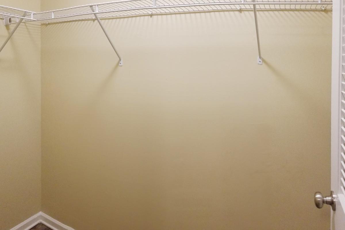 a shower curtain