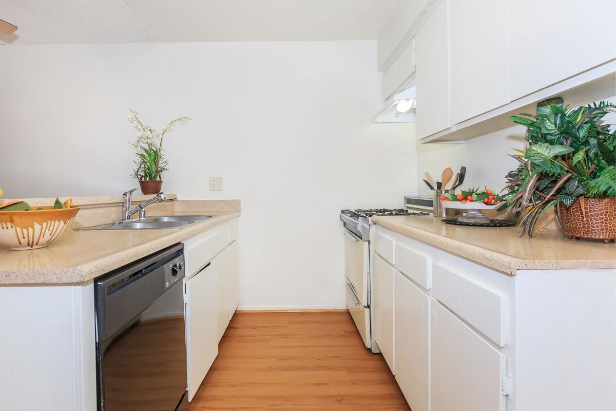 a kitchen with a stove and a sink