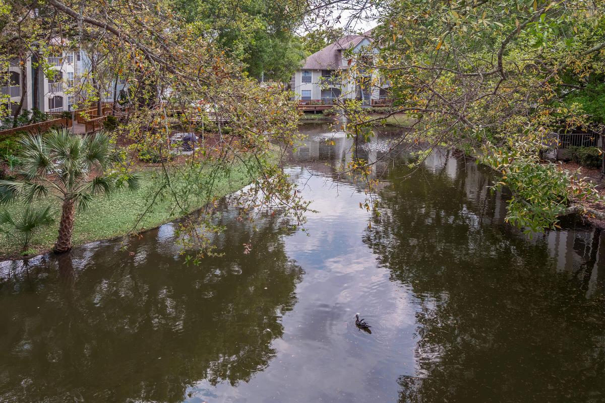 a small house surrounded by water