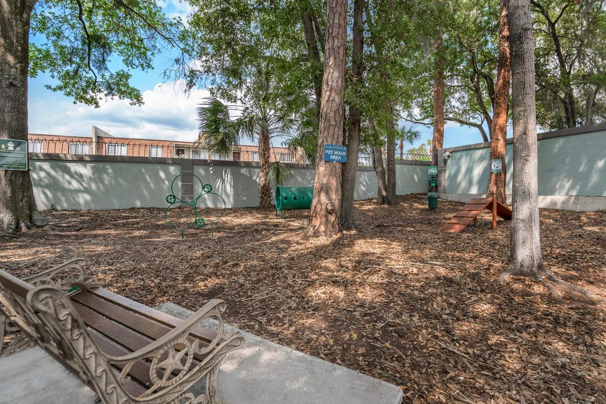 an empty park bench next to a tree