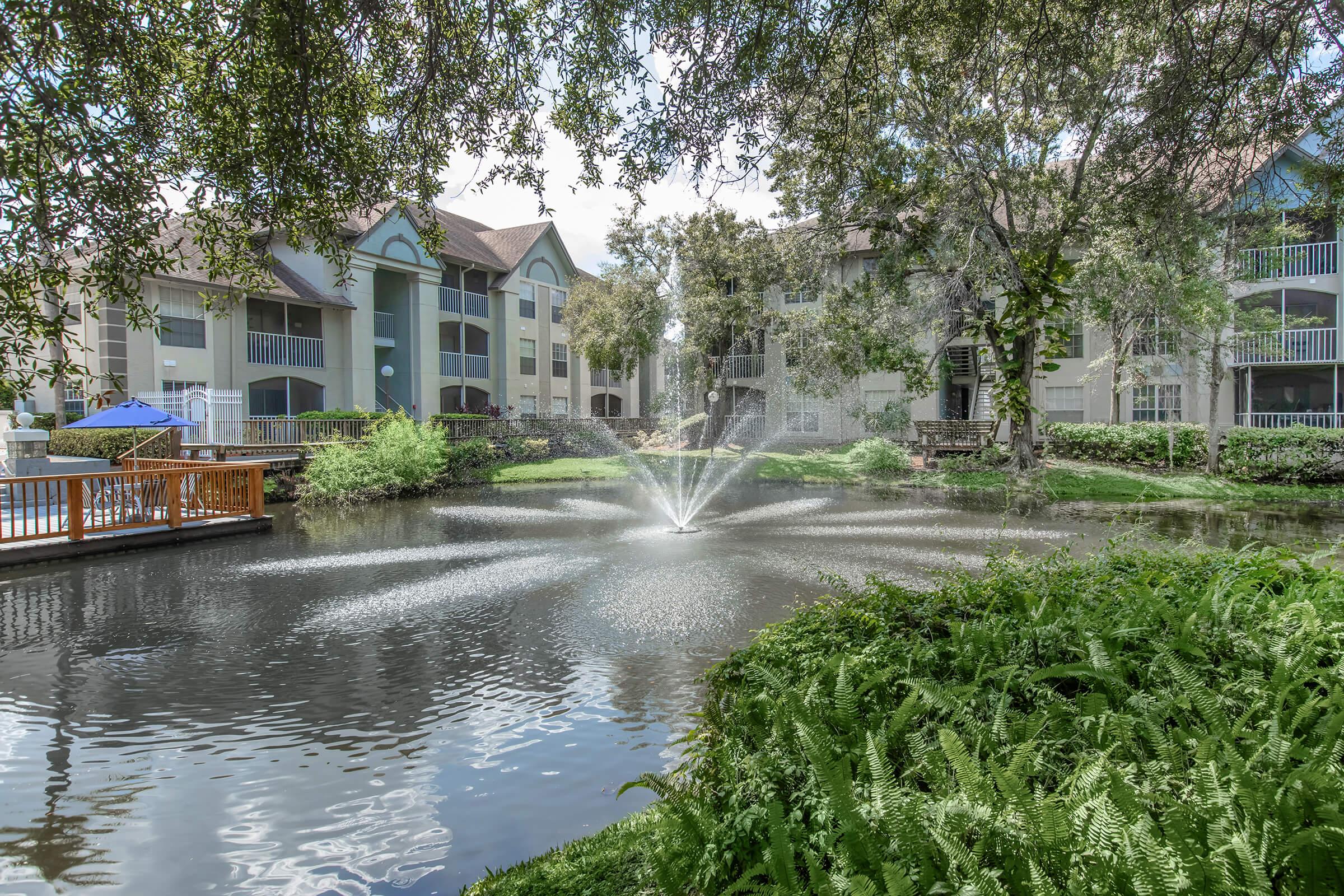 a tree in front of a house surrounded by water