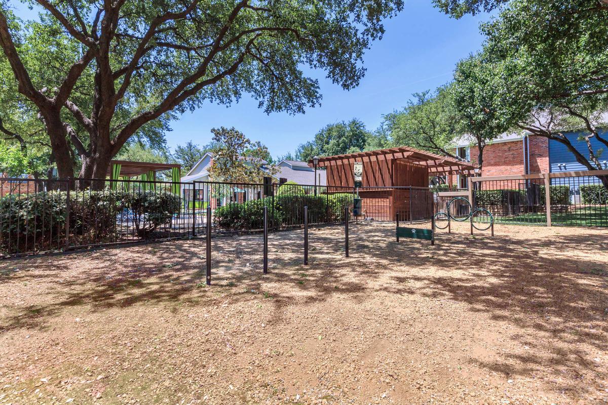 a tree in a fenced in area