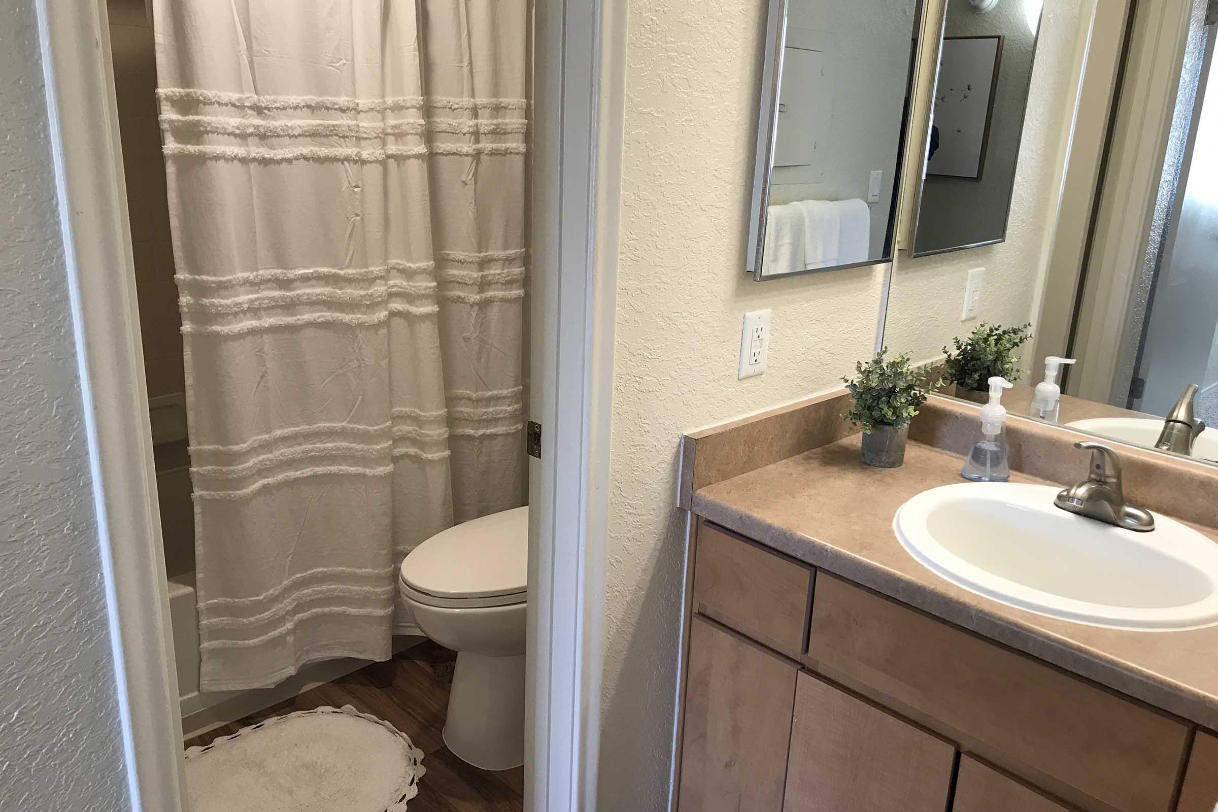 View of a small bathroom featuring a shower with a white curtain, a toilet, and a sink with a beige countertop. There is a small plant on the countertop, and the walls are light-colored. The space is well lit and tidy.