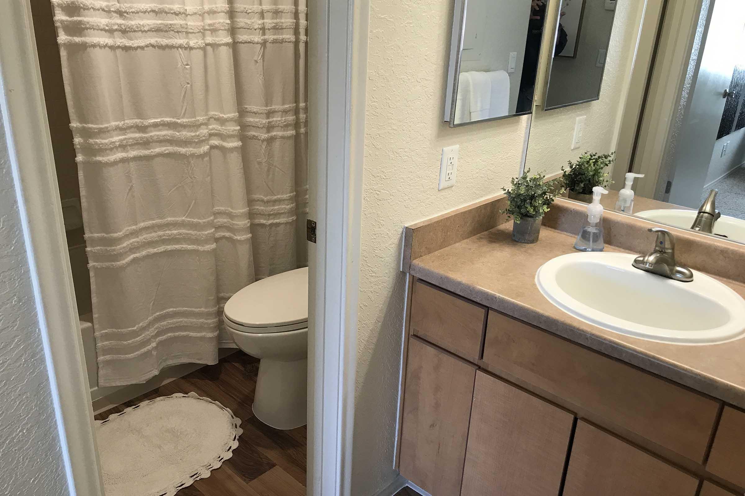 A clean bathroom featuring a sink with a countertop, a mirror above it, a toilet, and a shower area with a white curtain. The floor is lined with a decorative rug, and there are small potted plants and hand soap on the counter, creating a fresh and tidy atmosphere.