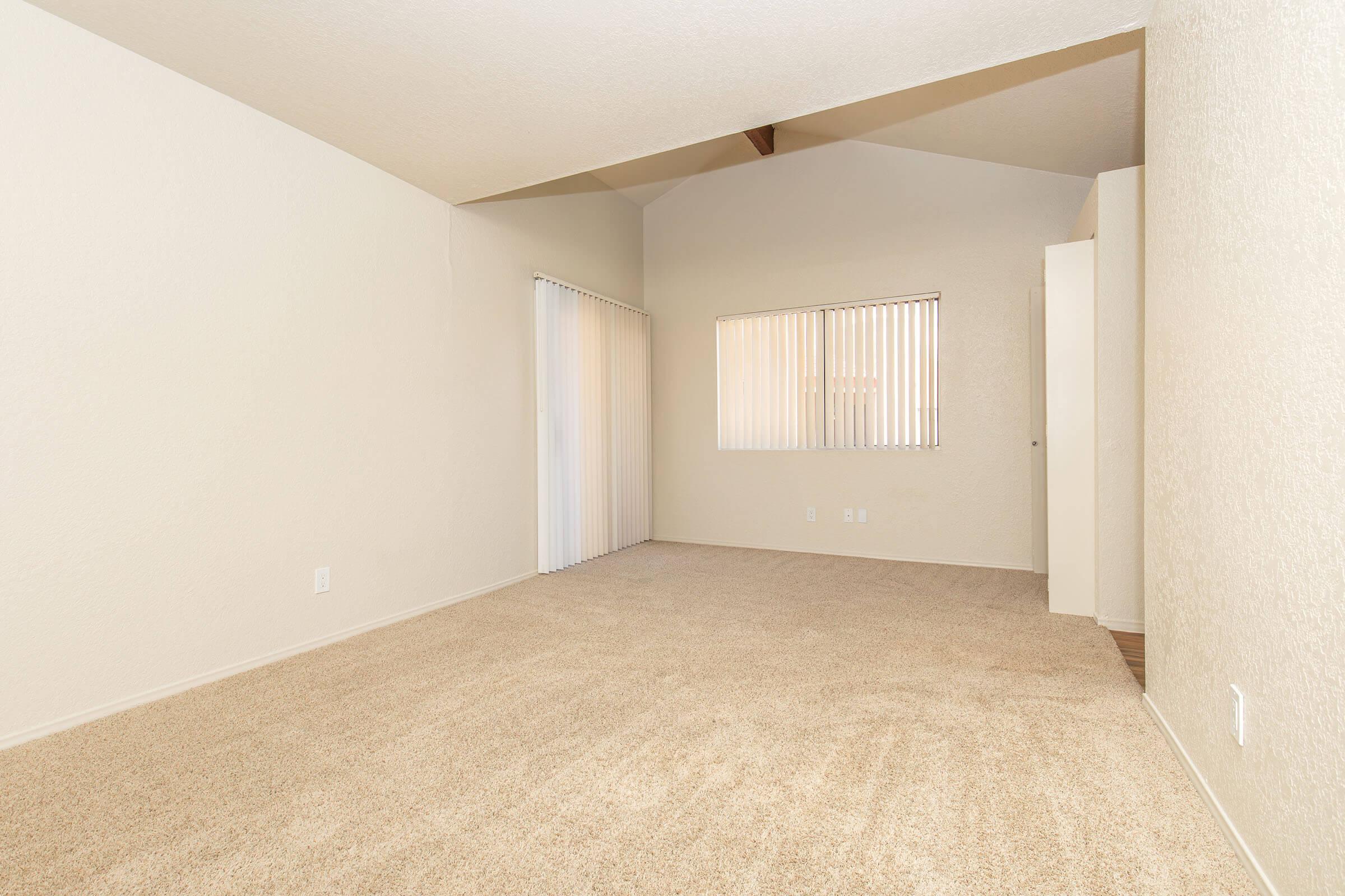 Empty room with beige carpet flooring, featuring white walls and high ceilings. A window with vertical blinds is visible on the left, and a closet door is seen on the right. The space is well-lit and minimalistic, creating a blank canvas for potential furnishings.