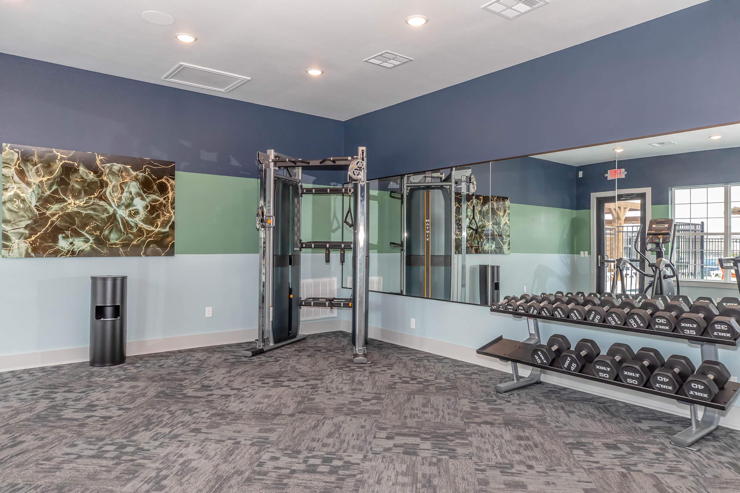 A modern fitness room featuring a weightlifting station with various dumbbells on a rack, a cable machine, and a large mirror. The walls are painted in shades of blue and green, and there's abstract artwork on display. Natural lighting enters through windows, enhancing the workout environment.