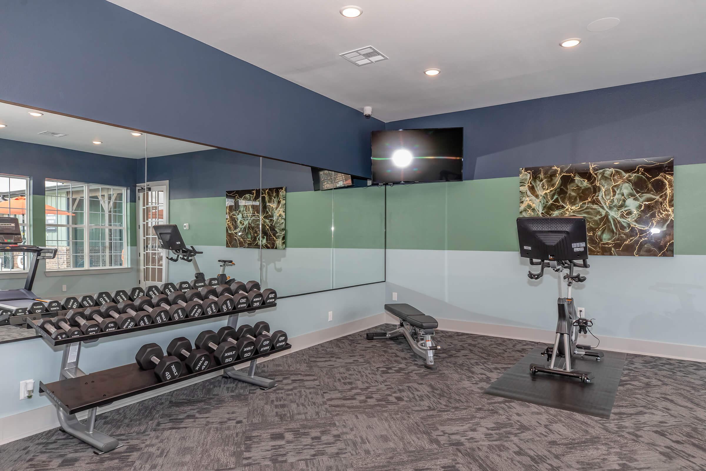 A modern gym interior featuring a rack of dumbbells, a workout bench, a stationary bike, and a large mirror. Wall art adds color, while a flat-screen TV hangs above. The space is well-lit with natural light coming from large windows. The floor is covered with dark carpet.