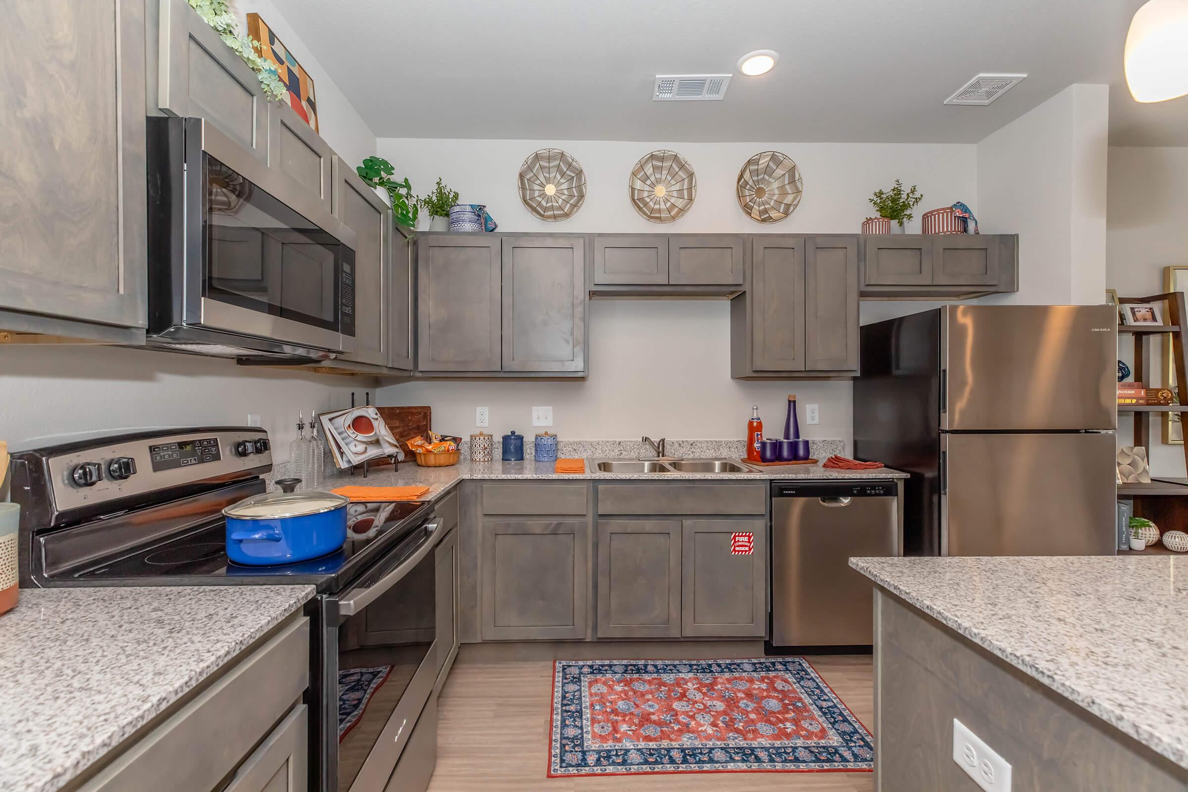 Modern kitchen featuring gray cabinetry, stainless steel appliances, and a large granite countertop. The kitchen is organized with decorative plates on the wall, a blue pot on the stove, and a colorful area rug on the floor, creating a warm and inviting atmosphere.