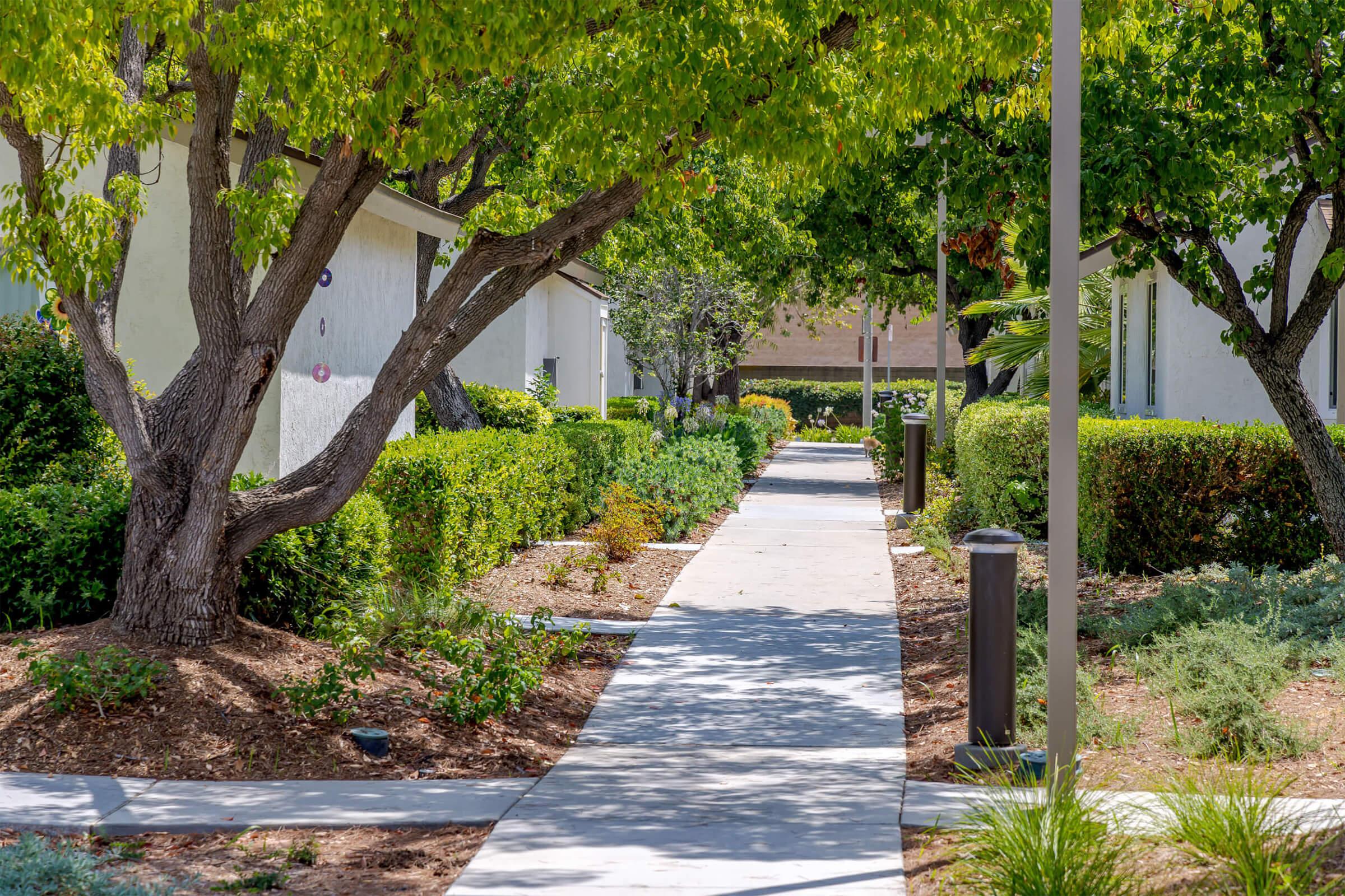 A serene pathway lined with manicured bushes and trees, leading between white buildings. Sunlight filters through the leaves, creating a peaceful atmosphere. The well-maintained walkway is surrounded by greenery, inviting leisurely strolls in a tranquil environment.