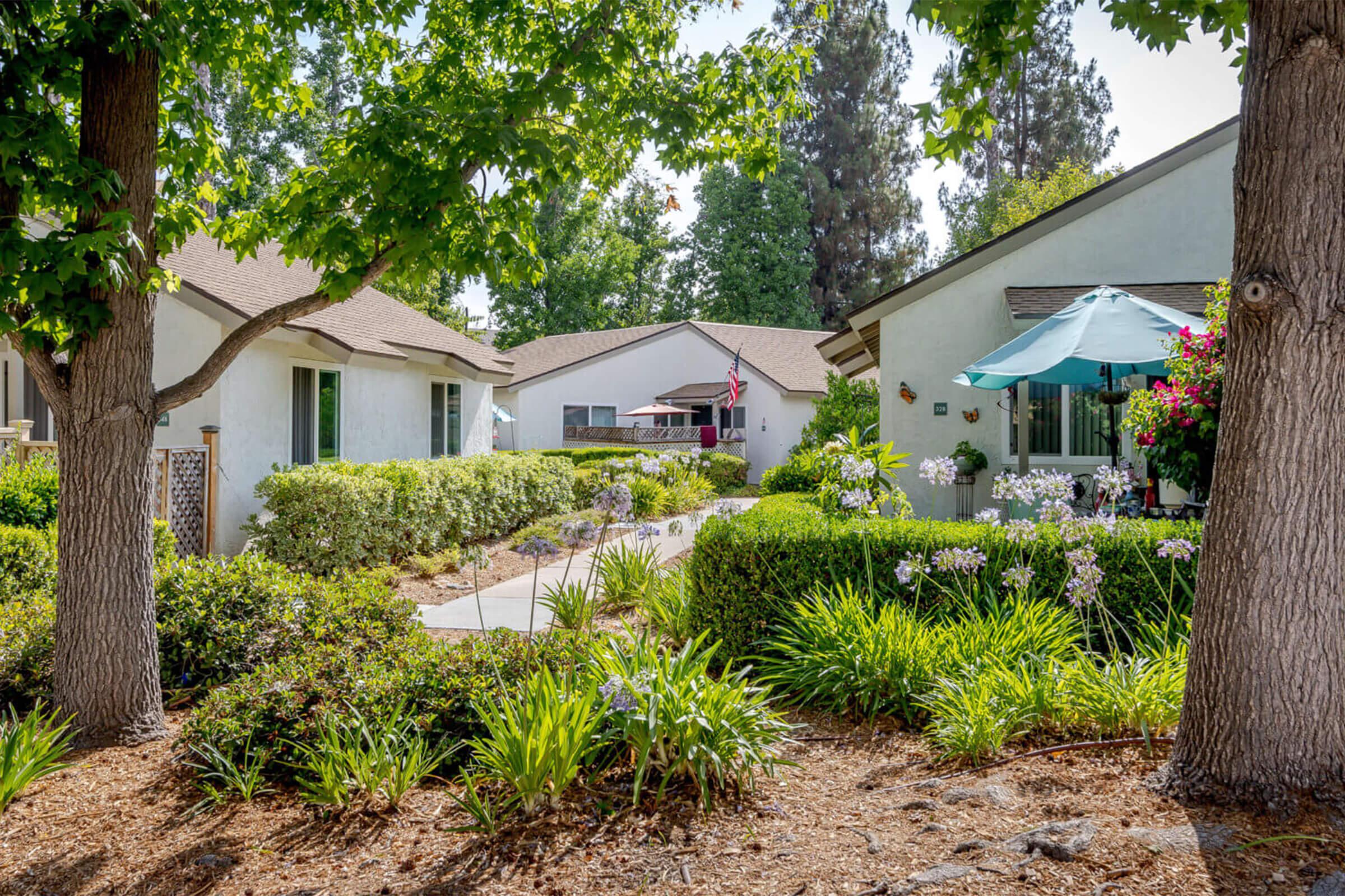 A landscaped garden with various plants and flowers surrounds a pathway leading to several houses. The scene features trees on either side, a patio with an umbrella, and an American flag displayed on one of the homes. Sunlight filters through the leaves, creating a serene and inviting atmosphere.