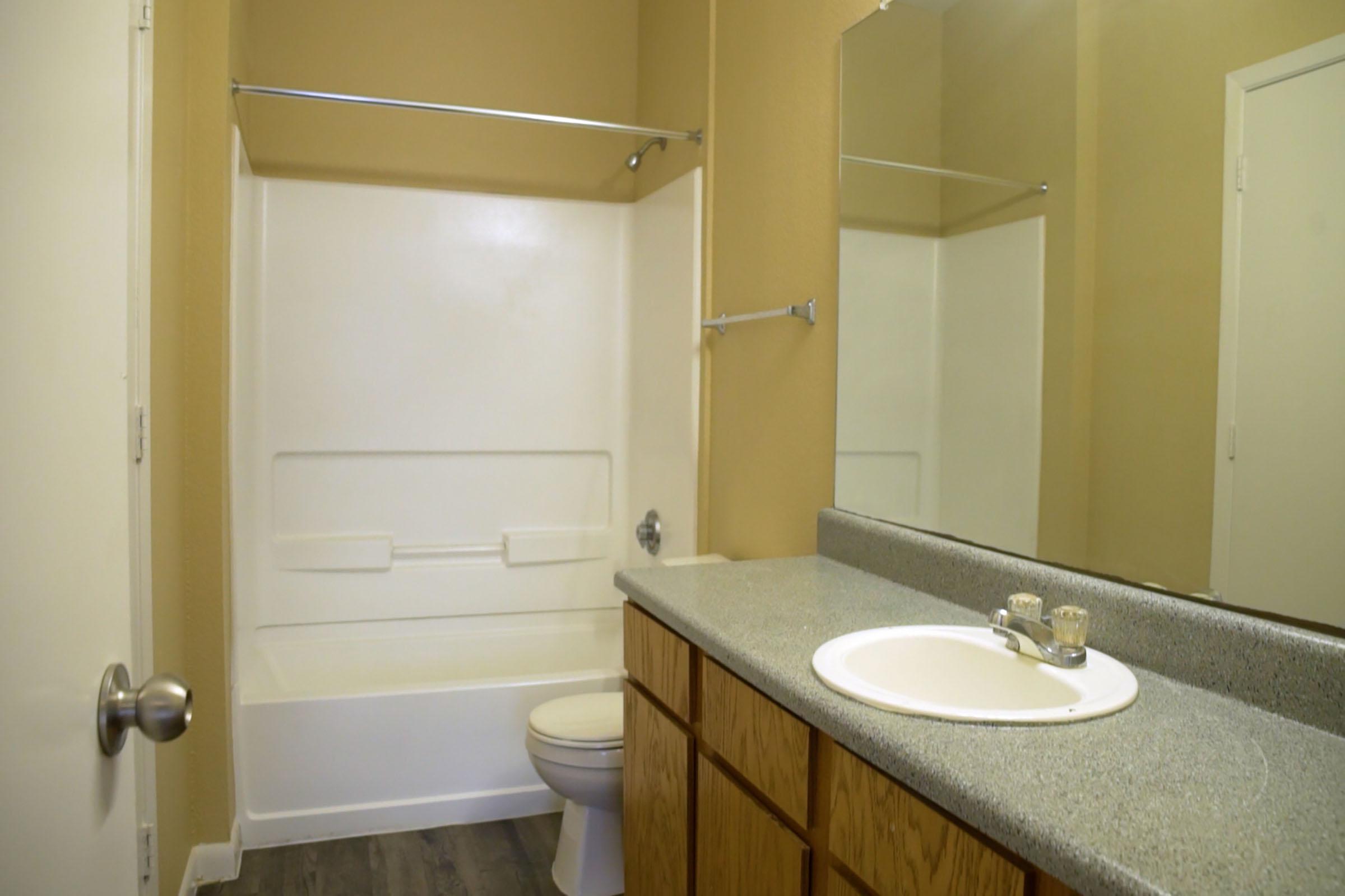 a sink and a mirror