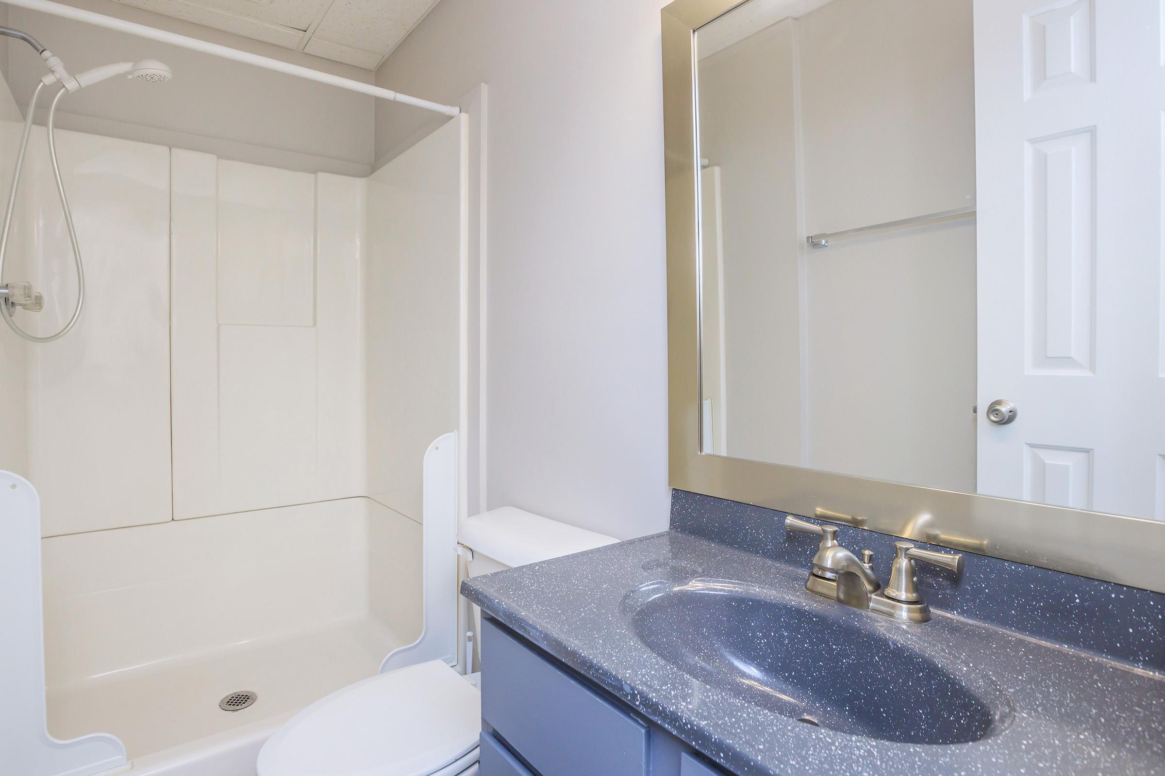 A modern bathroom featuring a shower stall with a sliding door, a toilet, and a dual-sink vanity. The countertop is dark blue with integrated sinks and stylish faucets. Light-colored walls and a large mirror add to the spacious feel. The overall design is clean and contemporary.