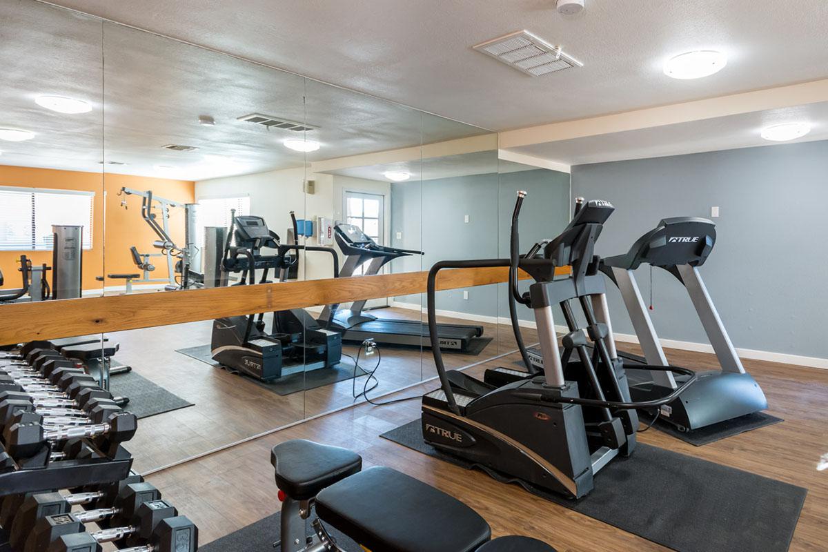 Fully-equipped Fitness Center + Azul Apartments + Phoenix + Arizona