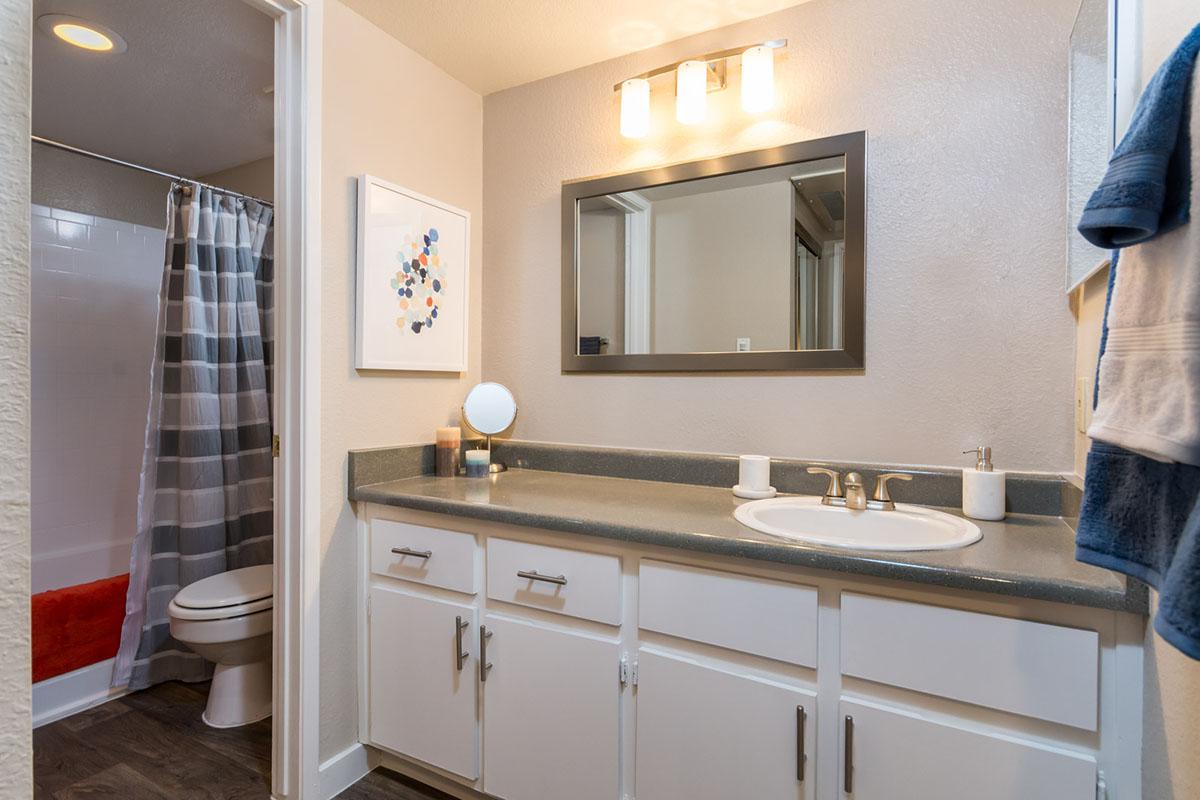 Updated Bathroom with Oversized Vanity + Azul Apartments + Phoenix + Arizona