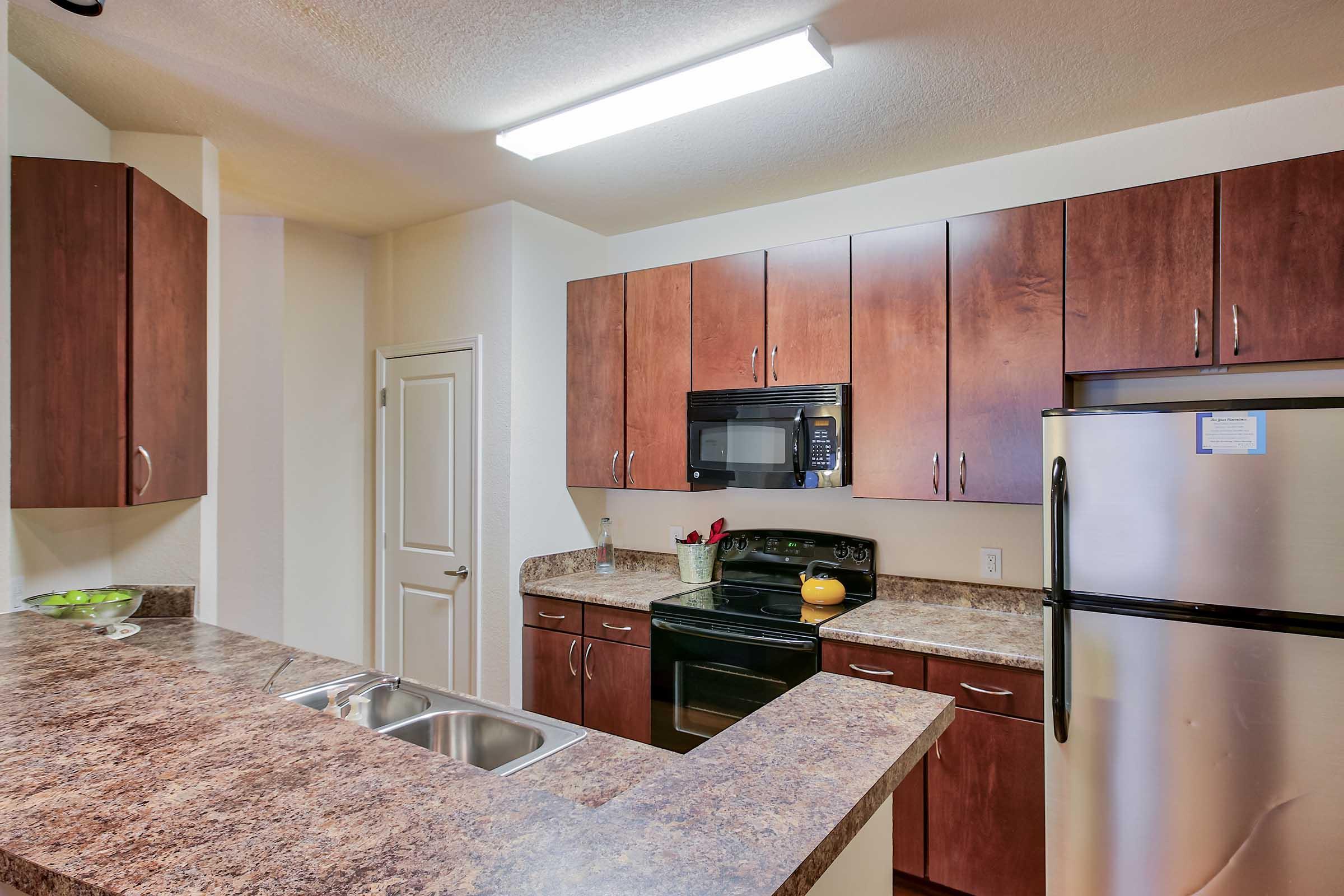 Modern kitchen featuring dark wooden cabinets, granite countertops, and stainless steel appliances. Includes a double sink, an electric stove, a microwave, and a refrigerator. Brightly lit with overhead lighting, the kitchen has a simple decorative touch with a bowl of fruit on the counter.