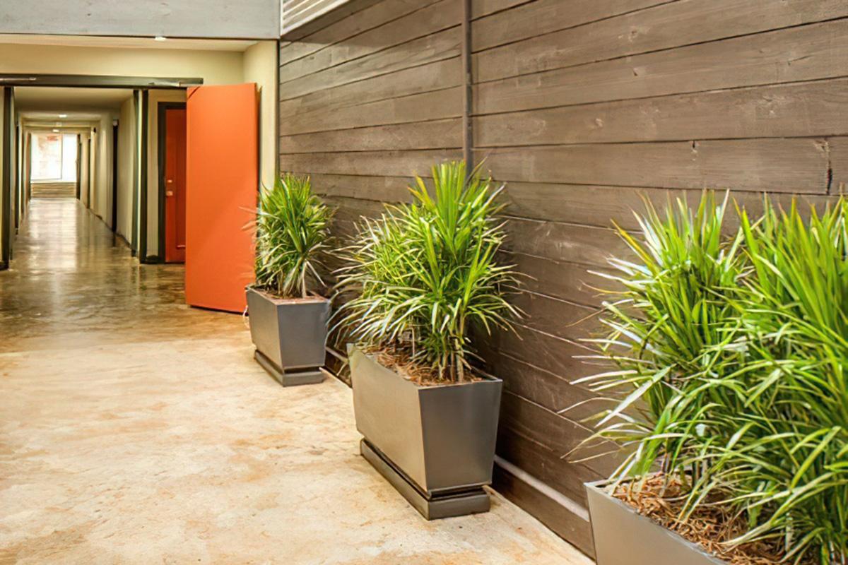 A well-lit corridor featuring dark wooden walls and a concrete floor. Bright green potted plants are lined along the side, adding a touch of nature. In the background, there is an orange door at the end of the hallway, leading to additional rooms. The atmosphere feels modern and inviting.