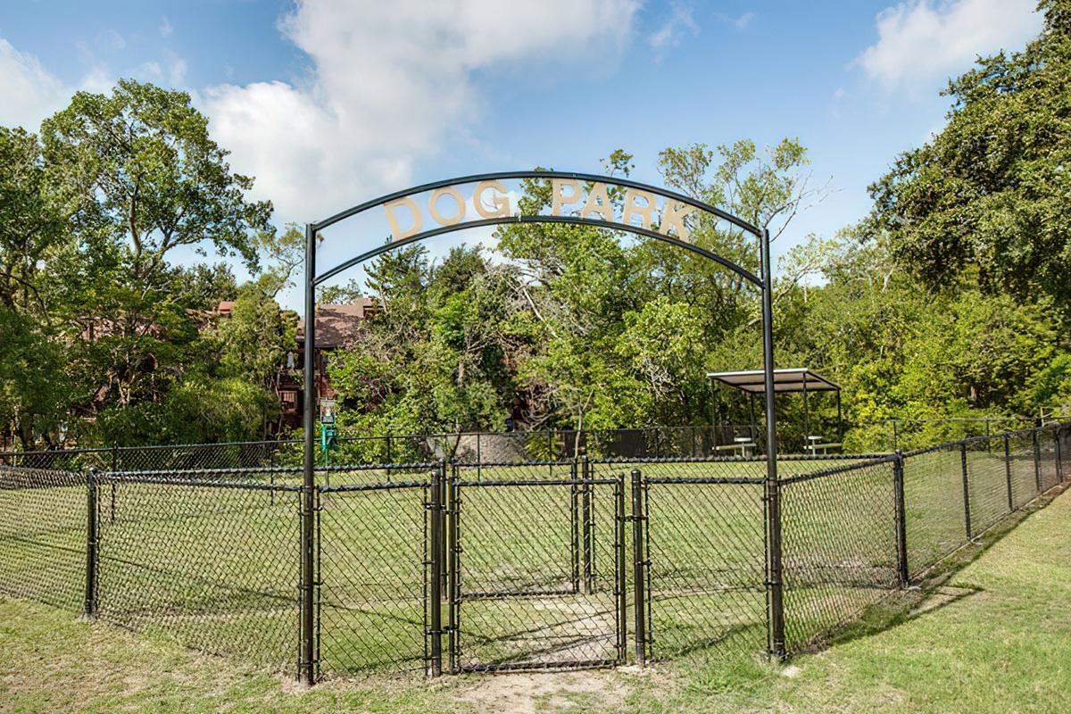A dog park entrance with a black metal archway displaying "DOG PARK." The park is enclosed by a chain-link fence and features a grassy area with trees in the background. A shaded seating area is visible, and the sky is partly cloudy, creating a bright and inviting atmosphere.