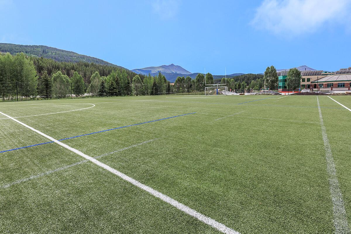 a large green field with trees in the background