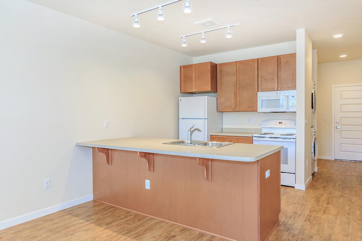 a kitchen with wooden cabinets and a wood floor