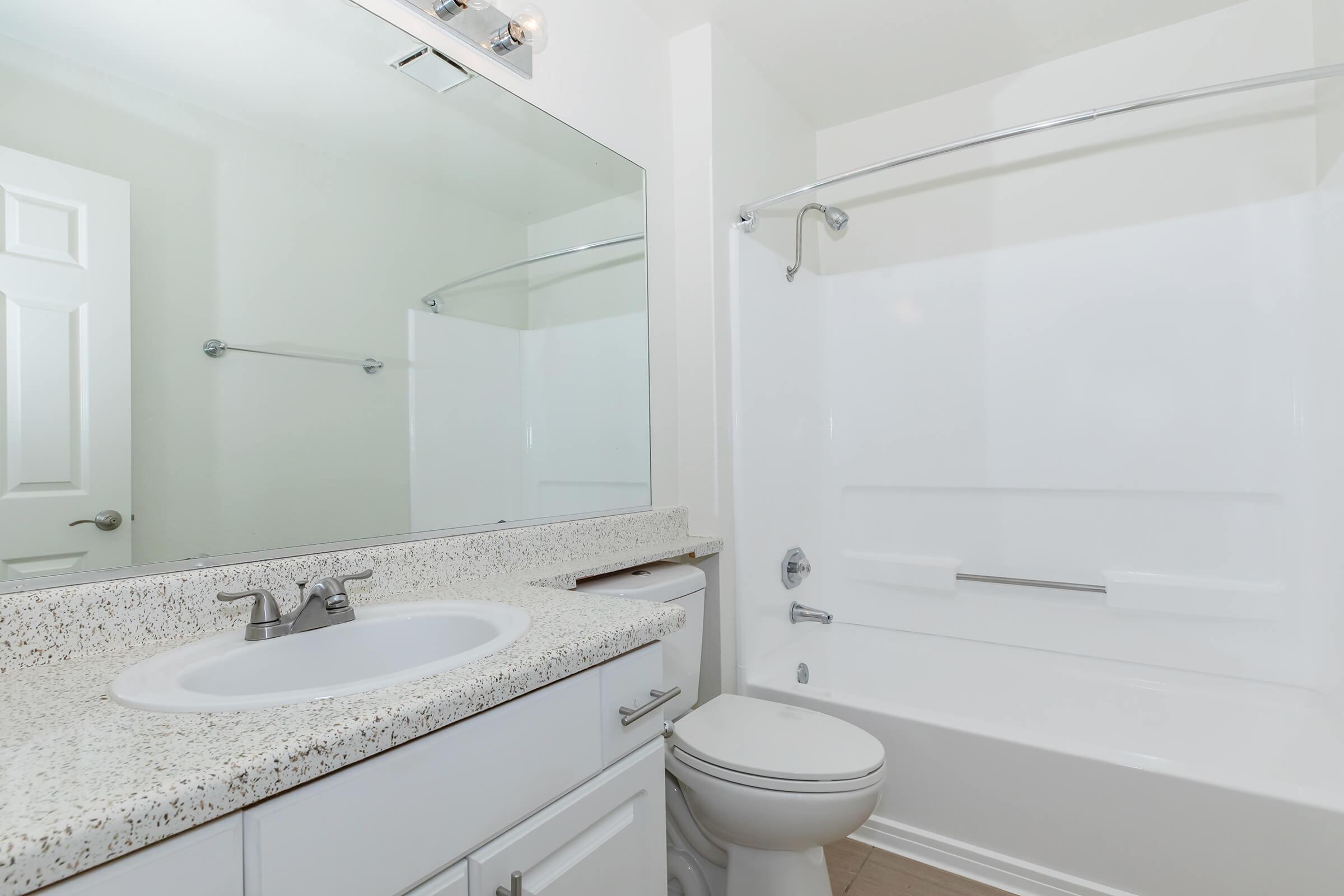 a shower that has a sink and a mirror