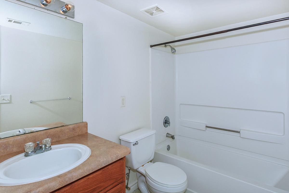 a white sink sitting under a mirror