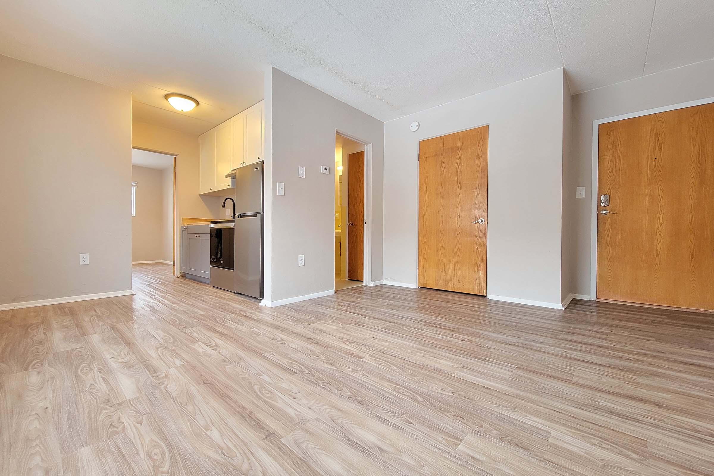 A spacious, light-filled apartment interior featuring a living area with modern laminate flooring, a kitchen area with stainless steel appliances, and two wooden doors leading to other rooms. The walls are painted in neutral tones, creating a welcoming ambiance.