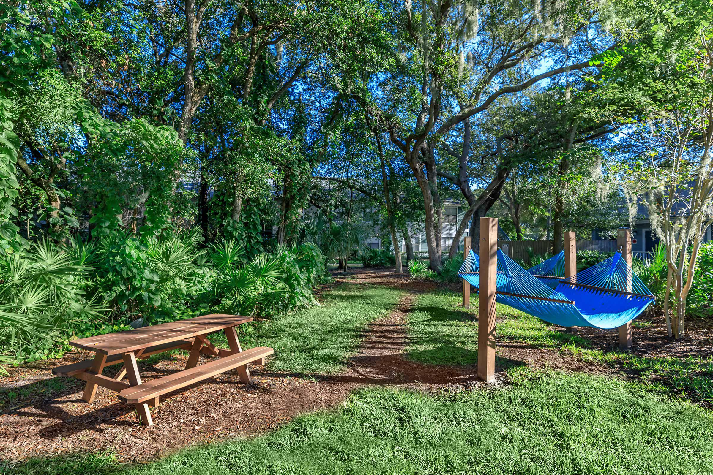 a blue bench in front of a tree